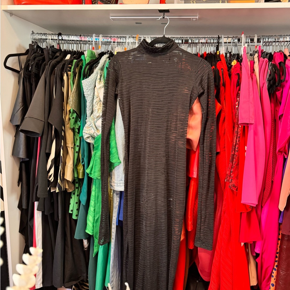 Elegant Sheer Black Long Sleeve Dress